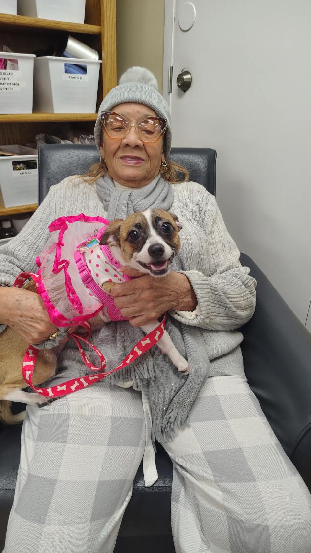Senior Paws Program Name of the article | Senior Paws Brings Holiday Support to Seniors and ...